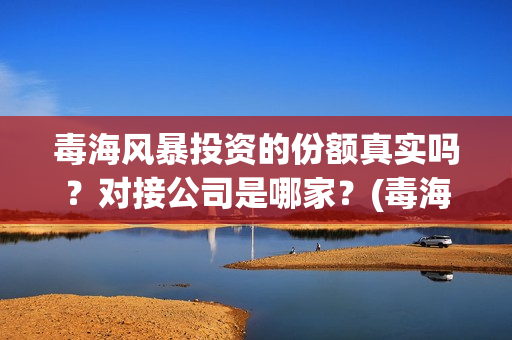 毒海风暴投资的份额真实吗？对接公司是哪家？(毒海风暴上映时间)