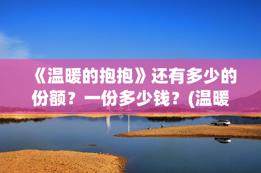 《温暖的抱抱》还有多少的份额？一份多少钱？(温暖的抱抱为什么禁了)