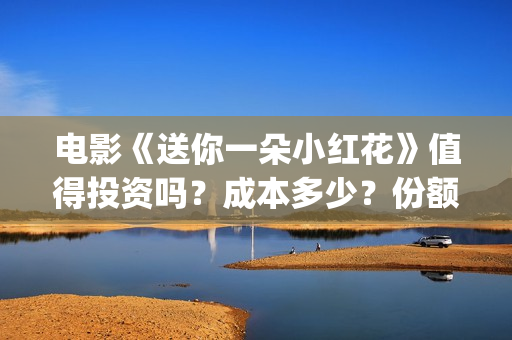 电影《送你一朵小红花》值得投资吗？成本多少？份额是真是假？(电影《送你一朵小红花》易烊千玺在)