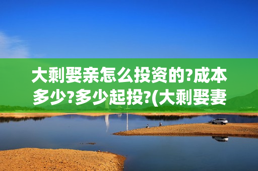 大剩娶亲怎么投资的?成本多少?多少起投?(大剩娶妻)