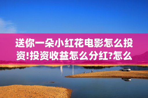 送你一朵小红花电影怎么投资!投资收益怎么分红?怎么投资?(送你一朵小红花原唱)
