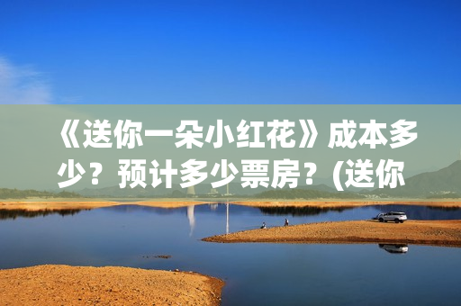 《送你一朵小红花》成本多少？预计多少票房？(送你一朵小红花电影免费观看)