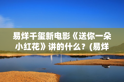 易烊千玺新电影《送你一朵小红花》讲的什么？(易烊千玺新电影2025年)