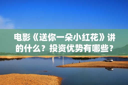 电影《送你一朵小红花》讲的什么？投资优势有哪些？(电影送你一朵小红花完整版免费观看)