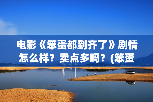 电影《笨蛋都到齐了》剧情怎么样？卖点多吗？(笨蛋都到齐了主题曲)
