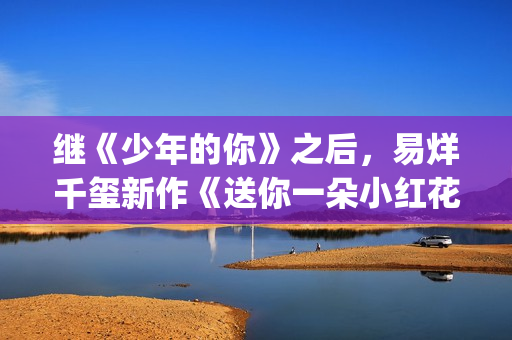 继《少年的你》之后，易烊千玺新作《送你一朵小红花》欢迎咨询(少年的你后续)