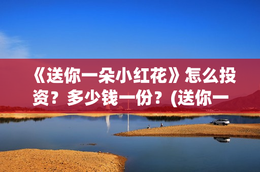 《送你一朵小红花》怎么投资？多少钱一份？(送你一朵小红花免费观看完整版)
