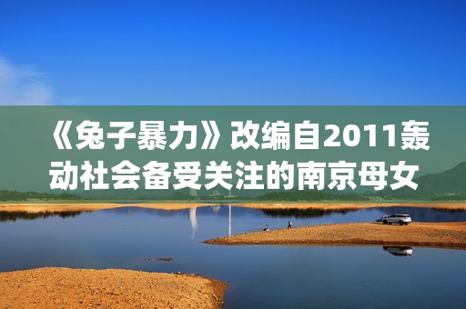 《兔子暴力》改编自2011轰动社会备受关注的南京母女绑架杀人案(兔子暴力原型故事结局)