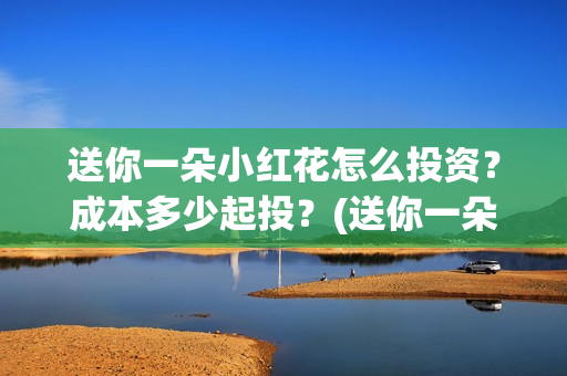 送你一朵小红花怎么投资？成本多少起投？(送你一朵小红花简谱)