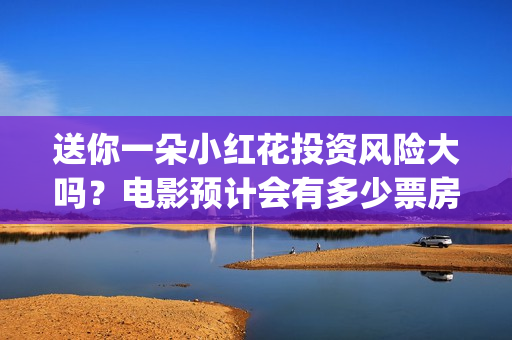 送你一朵小红花投资风险大吗？电影预计会有多少票房？(送你一朵小红花电影)