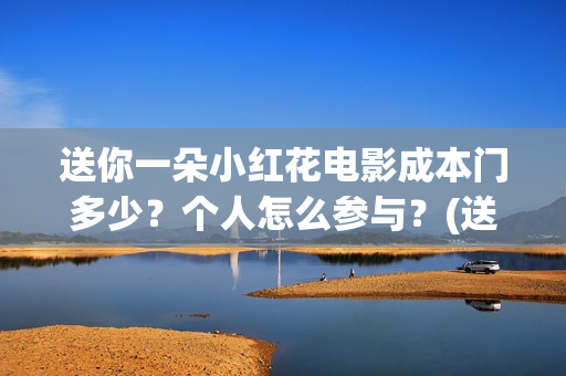 送你一朵小红花电影成本门多少？个人怎么参与？(送你一朵小红花简谱)