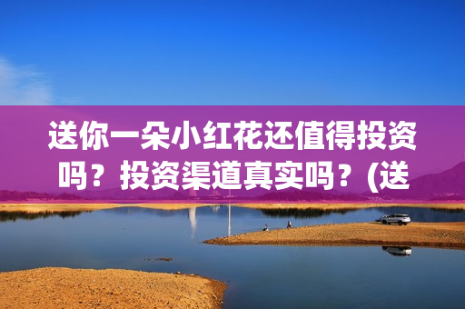 送你一朵小红花还值得投资吗？投资渠道真实吗？(送你一朵小红花原唱)