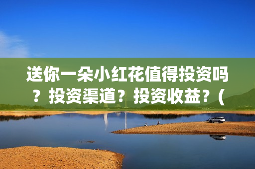 送你一朵小红花值得投资吗？投资渠道？投资收益？(送你一朵小红花 歌曲)