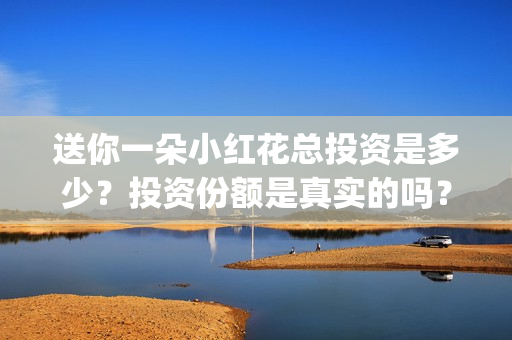 送你一朵小红花总投资是多少？投资份额是真实的吗？(送你一朵小红花原唱)