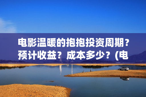 电影温暖的抱抱投资周期？预计收益？成本多少？(电影温暖的抱抱简介)