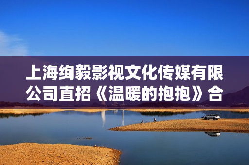 上海绚毅影视文化传媒有限公司直招《温暖的抱抱》合伙人(上海绚毅文化传媒)