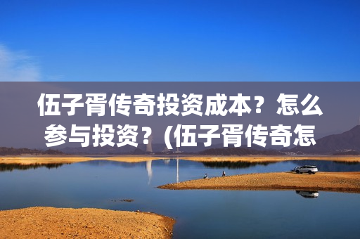 伍子胥传奇投资成本？怎么参与投资？(伍子胥传奇怎么投资)