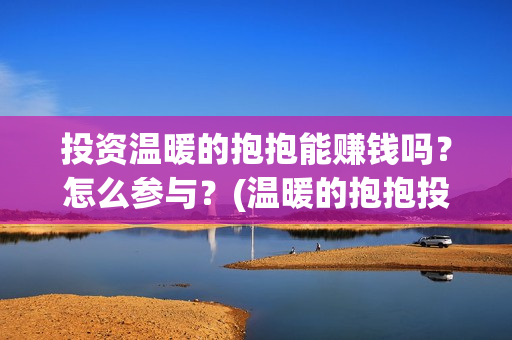 投资温暖的抱抱能赚钱吗？怎么参与？(温暖的抱抱投资额)