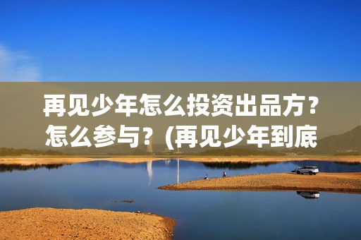 再见少年怎么投资出品方？怎么参与？(再见少年到底怎么了)