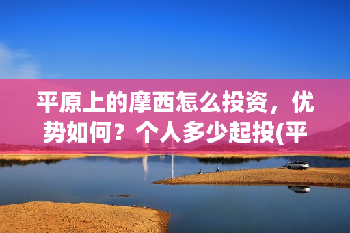 平原上的摩西怎么投资，优势如何？个人多少起投(平原上的摩西怎么破案的)