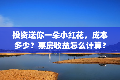 投资送你一朵小红花，成本多少？票房收益怎么计算？(投资送你一朵小红花)