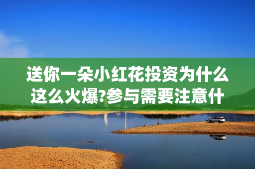 送你一朵小红花投资为什么这么火爆?参与需要注意什么(送你一朵小红花电影剧情介绍)