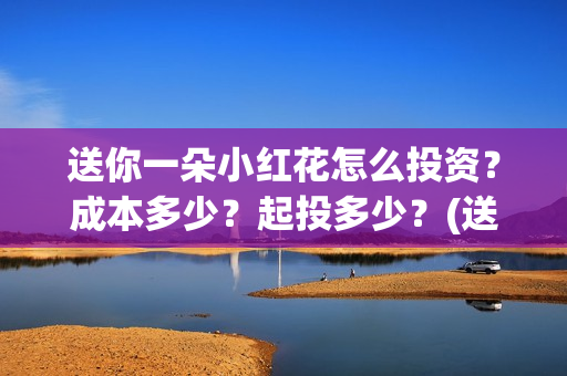 送你一朵小红花怎么投资？成本多少？起投多少？(送你一朵小红花演员表)