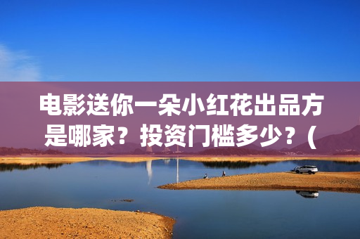 电影送你一朵小红花出品方是哪家？投资门槛多少？(电影送你一朵小红花讲述的主题是抗癌吗)