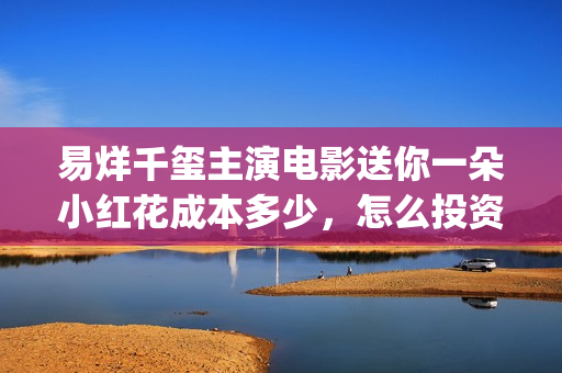 易烊千玺主演电影送你一朵小红花成本多少，怎么投资(易烊千玺主演电视剧)