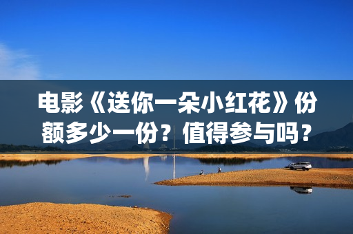 电影《送你一朵小红花》份额多少一份？值得参与吗？(电影送你一朵小花)
