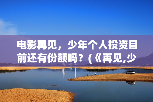 电影再见，少年个人投资目前还有份额吗？(《再见,少年》)