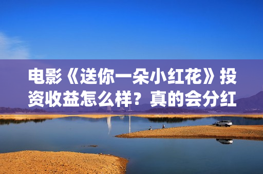 电影《送你一朵小红花》投资收益怎么样？真的会分红到个人吗？(电影《送你一朵小红花》)