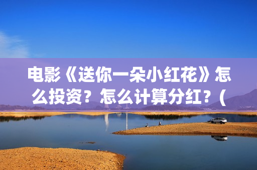 电影《送你一朵小红花》怎么投资？怎么计算分红？(电影送你一朵小红花剧情介绍)