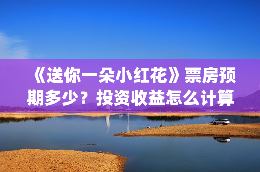 《送你一朵小红花》票房预期多少？投资收益怎么计算？(送你一朵小红花电影免费观看)