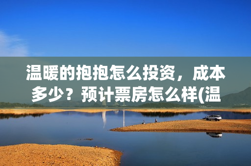 温暖的抱抱怎么投资，成本多少？预计票房怎么样(温暖的抱抱怎么画)