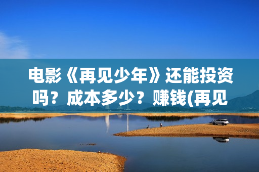 电影《再见少年》还能投资吗？成本多少？赚钱(再见少年是什么电影)
