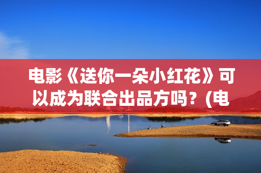 电影《送你一朵小红花》可以成为联合出品方吗？(电影送你一朵小红花讲述的主题是抗癌吗)