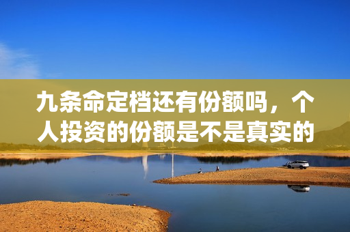 九条命定档还有份额吗，个人投资的份额是不是真实的(九条命 上映)
