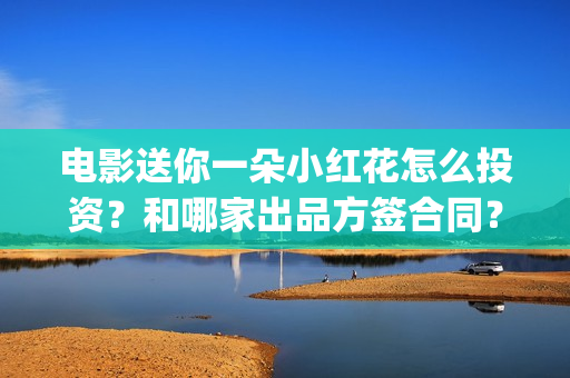 电影送你一朵小红花怎么投资？和哪家出品方签合同？(电影送你一朵小红花观后感)