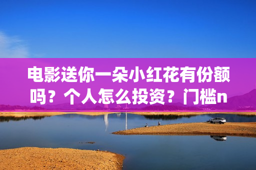 电影送你一朵小红花有份额吗？个人怎么投资？门槛n？(电影送你一朵小红花豆瓣评分)