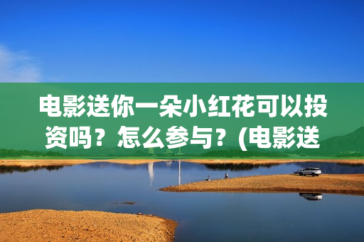 电影送你一朵小红花可以投资吗？怎么参与？(电影送你一朵小红花简介)