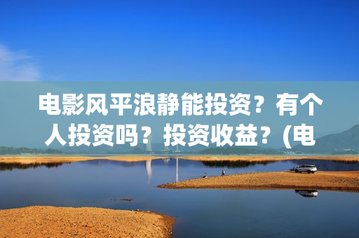 电影风平浪静能投资？有个人投资吗？投资收益？(电影风平浪静是真实案例吗?)