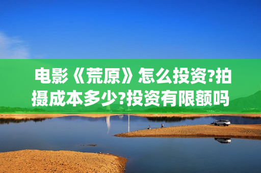  电影《荒原》怎么投资?拍摄成本多少?投资有限额吗?(电影荒原最后他哥活着吗)