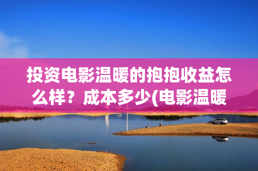 投资电影温暖的抱抱收益怎么样？成本多少(电影温暖的作文)