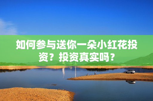如何参与送你一朵小红花投资？投资真实吗？