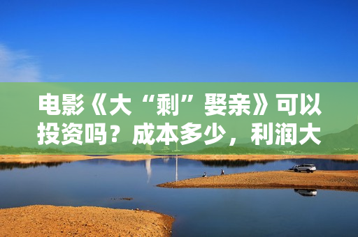 电影《大“剩”娶亲》可以投资吗？成本多少，利润大吗