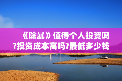 　《除暴》值得个人投资吗?投资成本高吗?最低多少钱可以参与?(除暴深度解析)