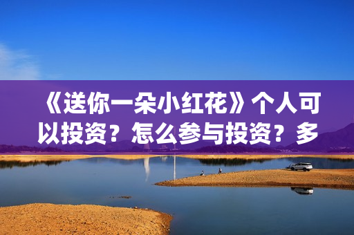 《送你一朵小红花》个人可以投资？怎么参与投资？多少起投？(送你一朵小红花原唱)
