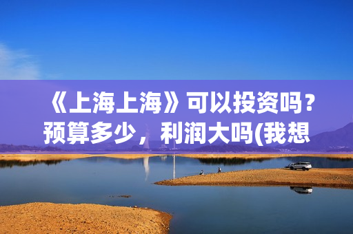 《上海上海》可以投资吗？预算多少，利润大吗(我想看上海上海)