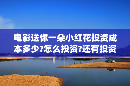 电影送你一朵小红花投资成本多少?怎么投资?还有投资份额吗?(电影送你一朵小红花讲述的主题是抗癌吗)